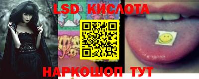 ECSTASY Новозыбков
