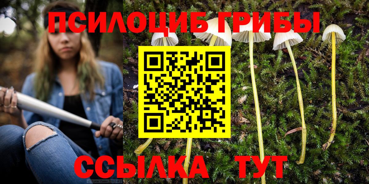 Галлюциногенные грибы Psilocybe Пыть-Ях